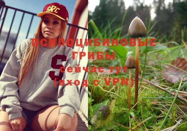 мефедрон Алексеевка