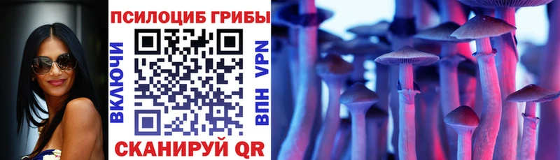 Псилоцибиновые грибы мицелий  цена наркотик  Кашира 